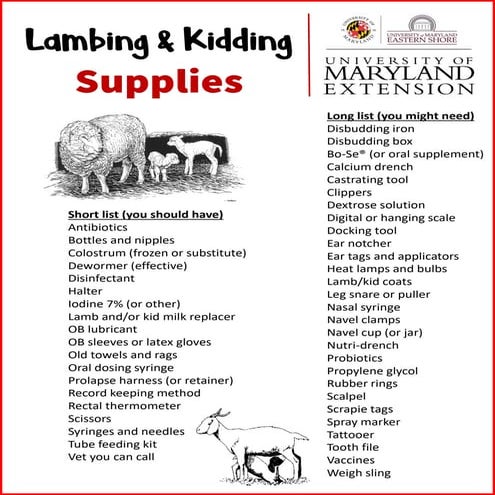 Lambing & Kidding Supplies