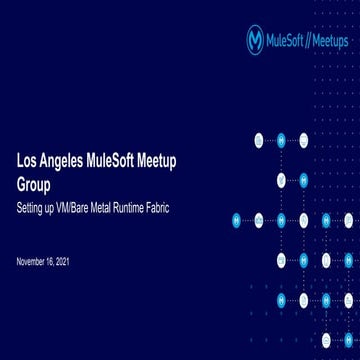 LA November Meetup (Setting up VM/Bare Metal Runtime Fabric)