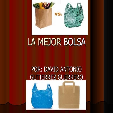 La mejor bolsa