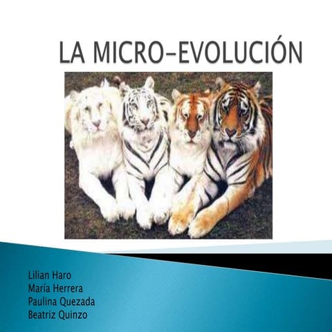 La micro evolución
