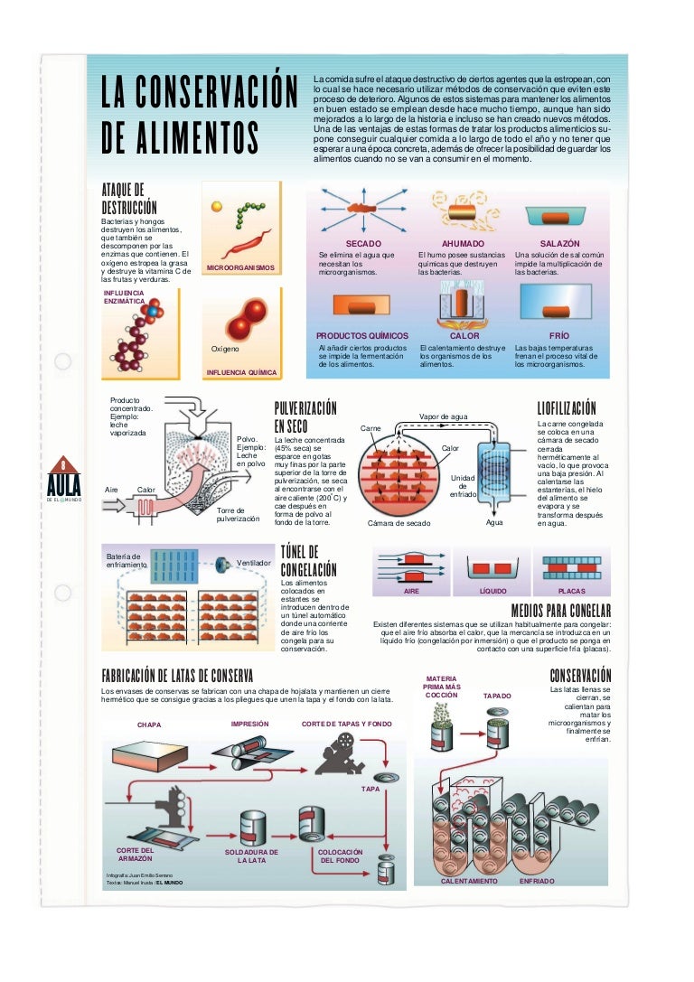 Lamina De Conservacion De Alimentos