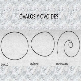 Lamina 11  ovalos y ovoides