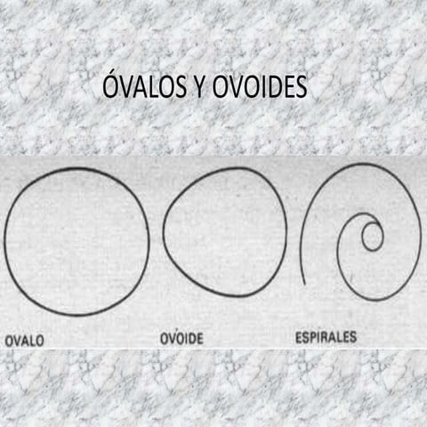 Lamina 11 ovalos y ovoides | PPSX