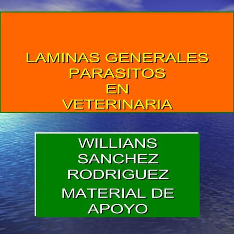 Laminas Generales Parasitos Veterinaria