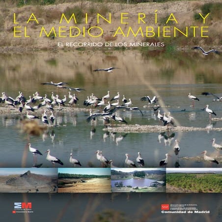 La Minería y el Medio Ambiente | PDF