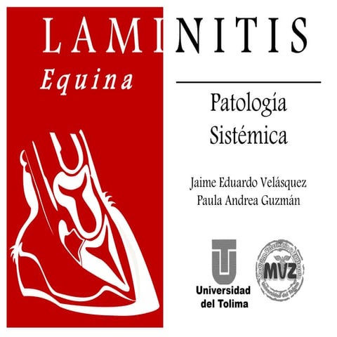 Laminitis equina