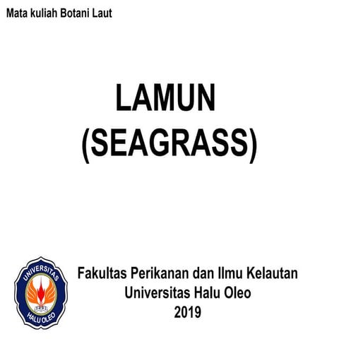 Panduan pengenalan LAMUN (SEAGRASS).pptx