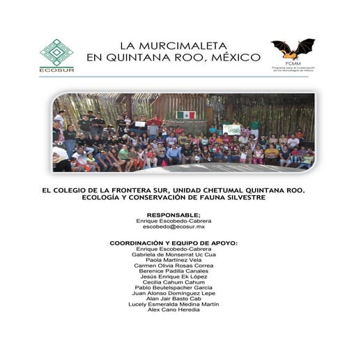 La murcimaleta en quintana roo