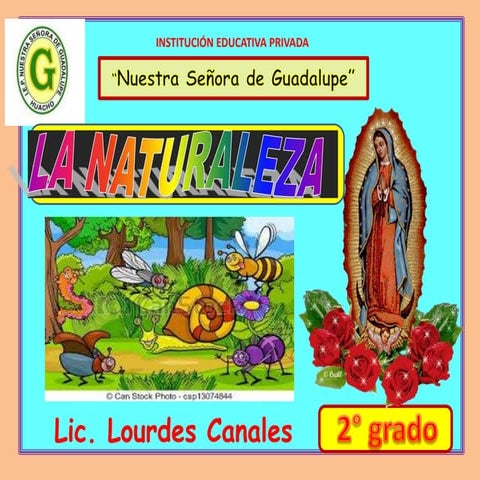 Los reinos de la naturaleza | PPTX