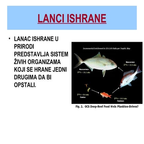 Lanci ishrane