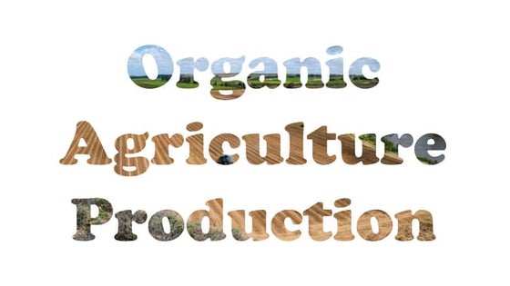 Planting-Systems.pptx