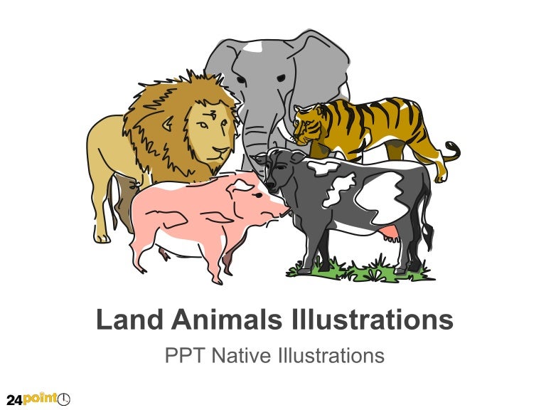 Land Animals Illustrations