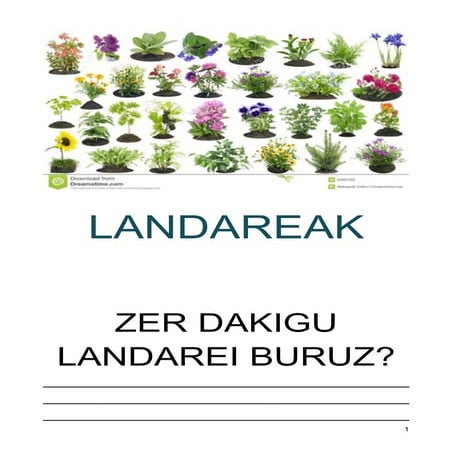Landareak