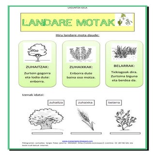 Landare motak