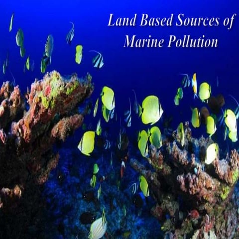 Land based sources of marine pollution