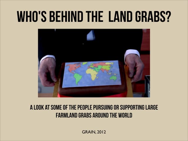 Who's behind the land grabs?