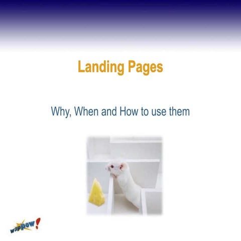 Landing Pages - What, Why, and How