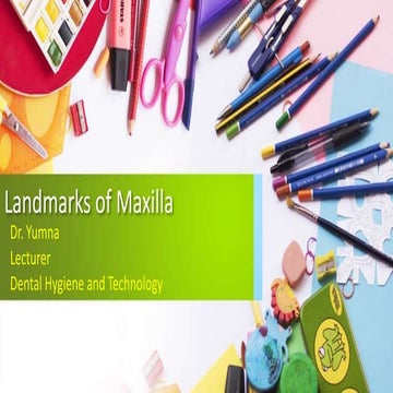 Landmarks of maxilla