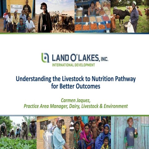 Understanding the livestock to nutrition pathway for better outcomes