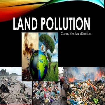Effects Of Land Pollution On The Environment