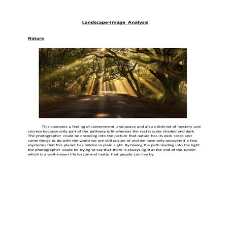 Landscape image analysis