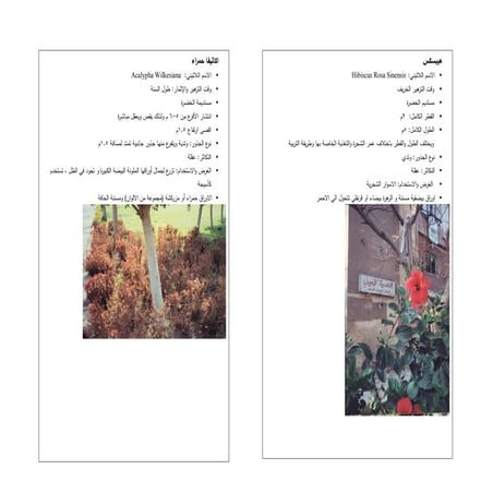 Case studies | PDF