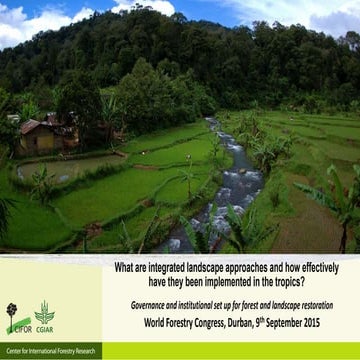 What are integrated landscape approaches and how effectively have they been i...