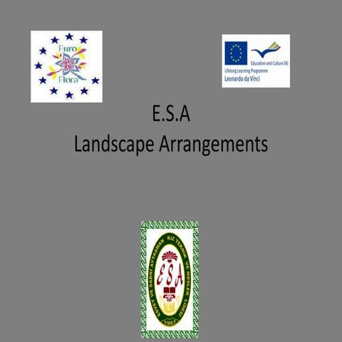 Landscape arrangements