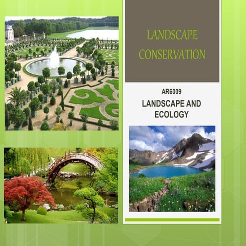 Landscape conservation