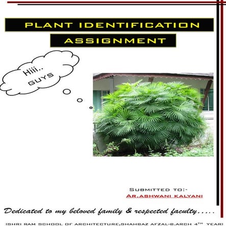 Landscape presentation1 | PDF