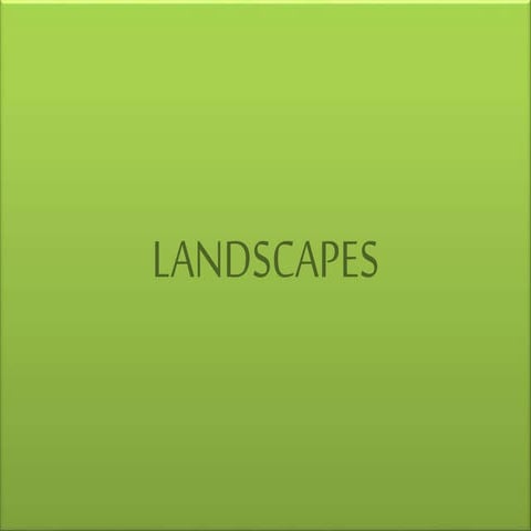 Landscapes