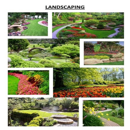 Landscaping Design