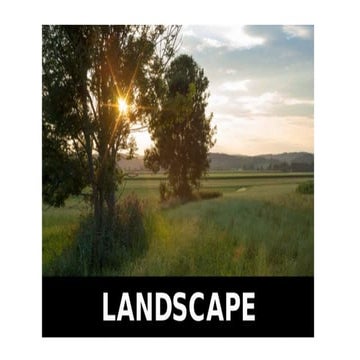 ornamental horticulture landscaping pptx