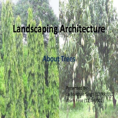 Landscaping architecture- About Trees