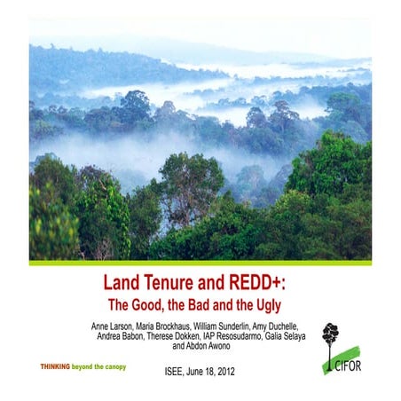 Land tenure and redd+ good bad ugly
