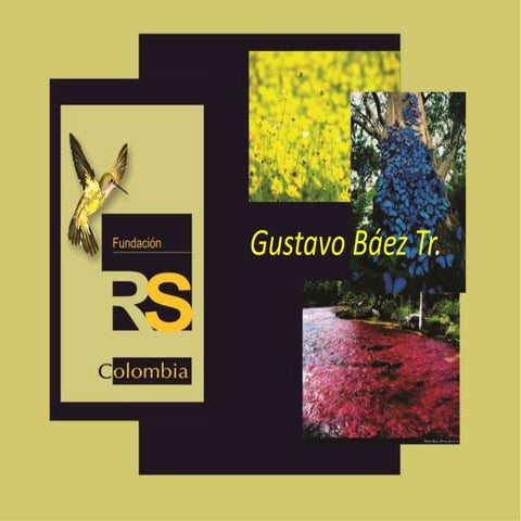 La necesidad de creación de redes de cooperación - gustavo baez  tr.