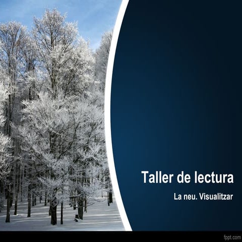 Taller de lectura. La neu. Visualitzar