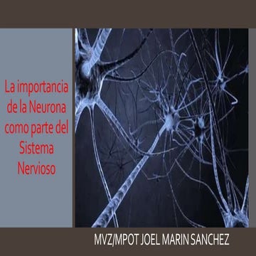 La neurona