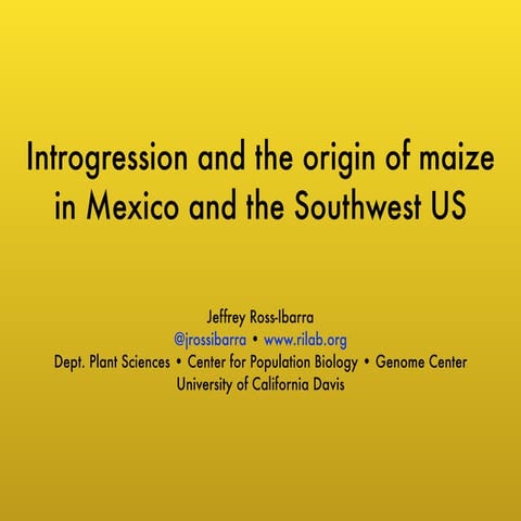 Introgression and the origin of maize in Mexico and the Southwest US