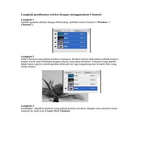 Langkah pembuatan seleksi dengan menggunakan channel