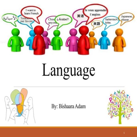 Language | PPT