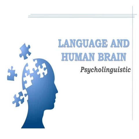 Language and Human's  Brain 