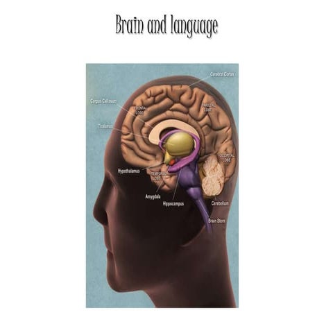 Neurolinguistics: Brain and Language 