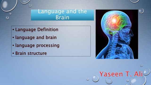 Language and the brain