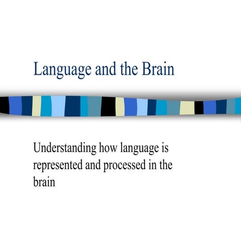 language and brain.ppt
