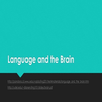 Language and the Brain in English Language.pdf