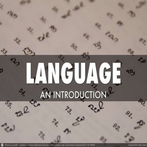 Language culture communication  social care review