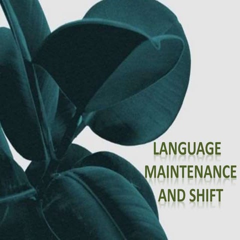 Language maintenance and shift.