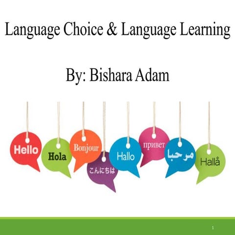 Language Choice & Language Learning