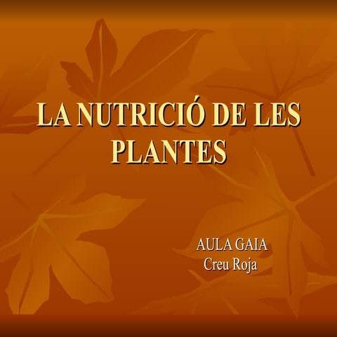 Lanutricidelesplantes 091103171635-phpapp01